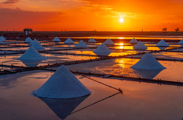 Surface water desalination sector